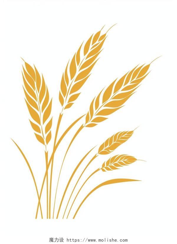 燕麦简笔画插图自然农作物谷物生长金色小麦大麦麦穗矢量图标农业秋天秋收